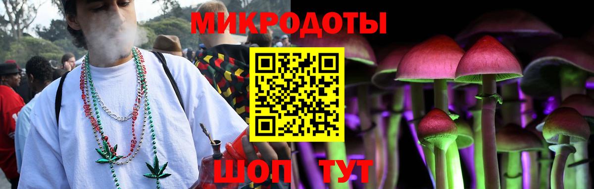 Гусь-Хрустальный  Псилоцибиновые грибы прущие грибы  купить   Вход с VPN  Галлюциногенные грибы Psilocybe 